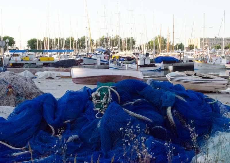 Mallorca - Palma 121 - puerto pescadores.jpg